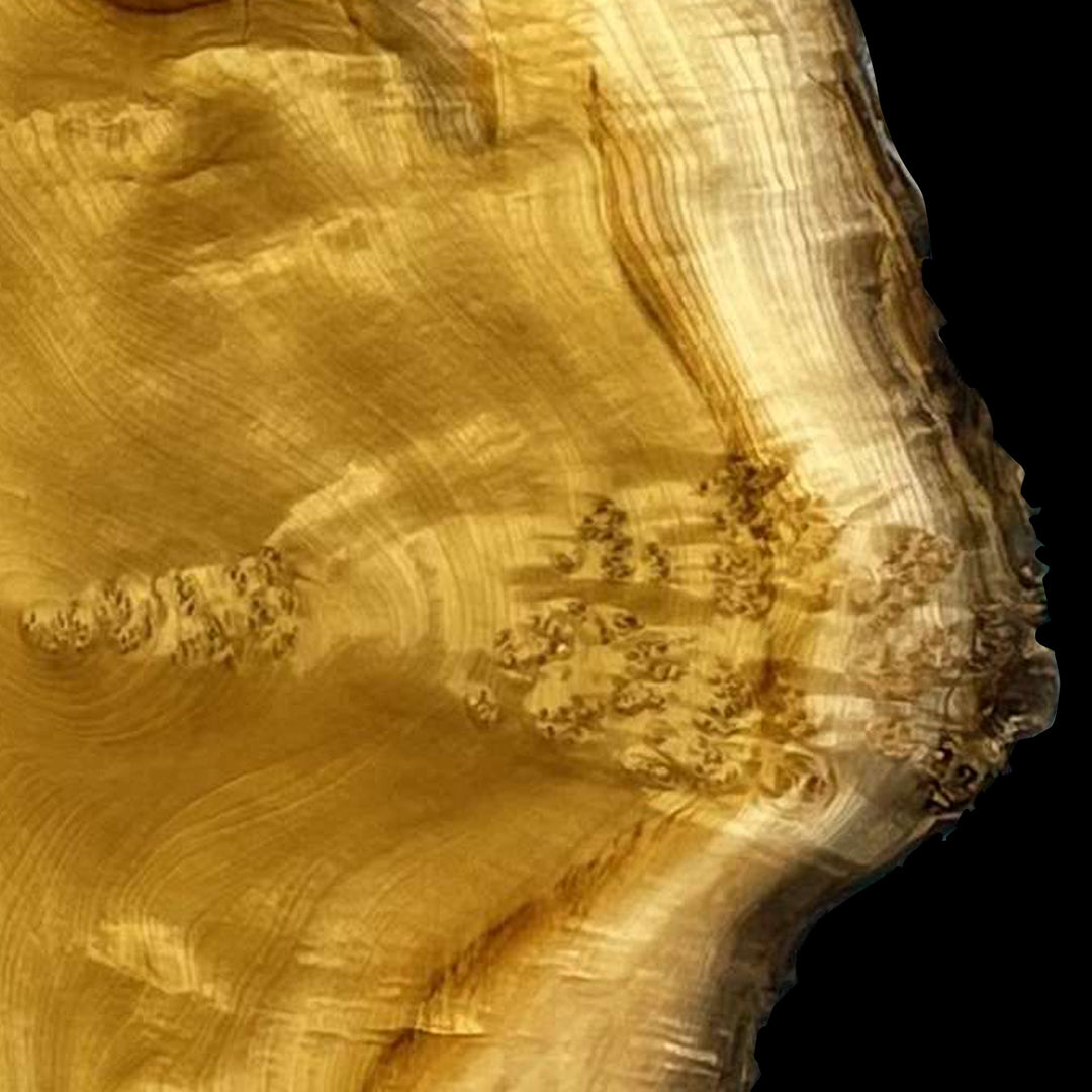 golden camphor
