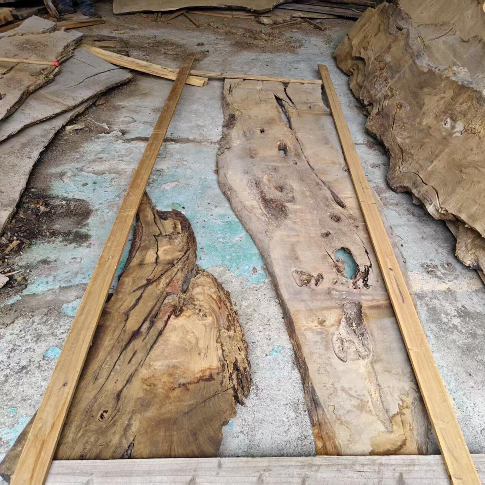 Premium olive wood slab selection for custom CRT-082 dining table by Eliyaho in Baltimore MD
