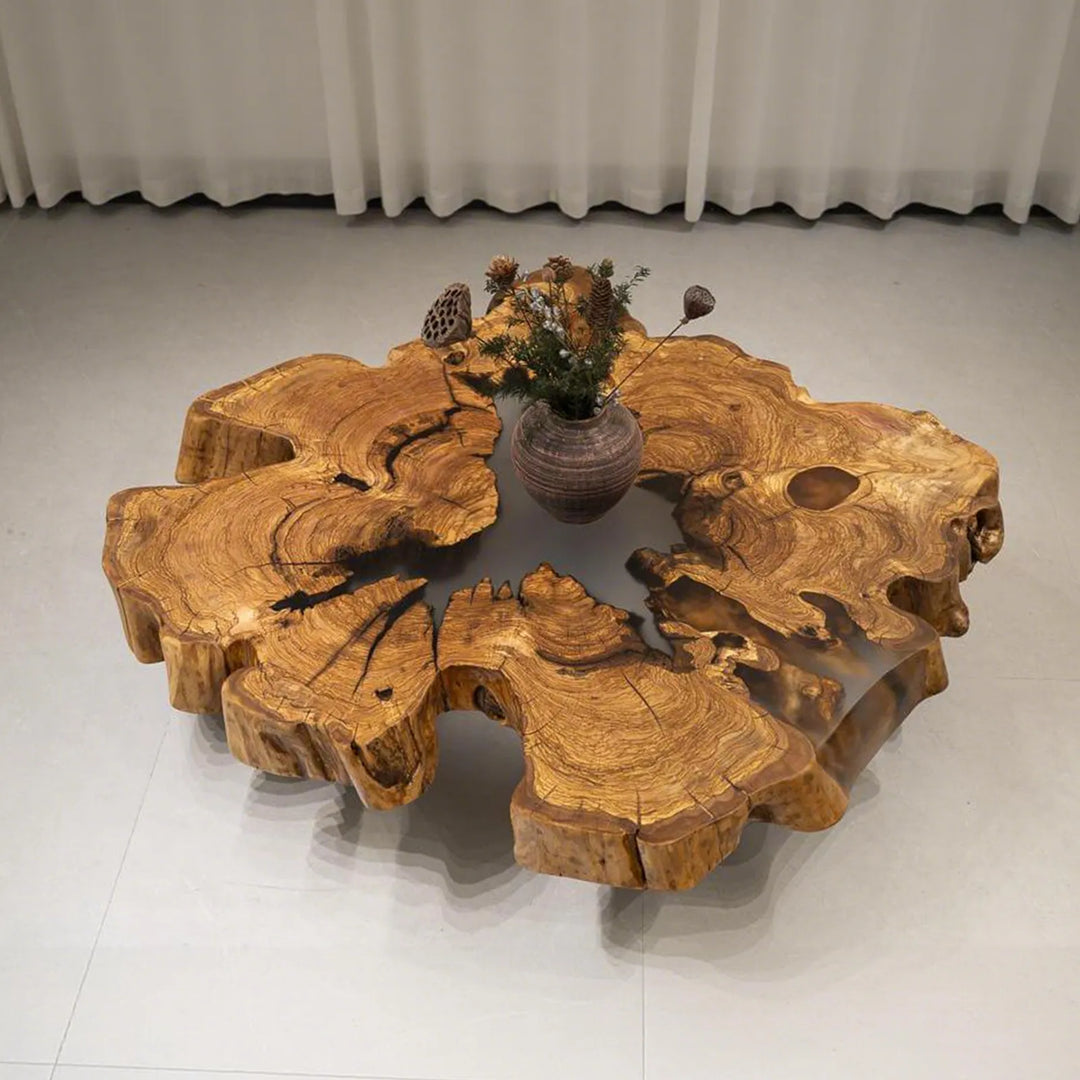 Seawavetable-4.7 inch thick olive wood cross-section live edge table top