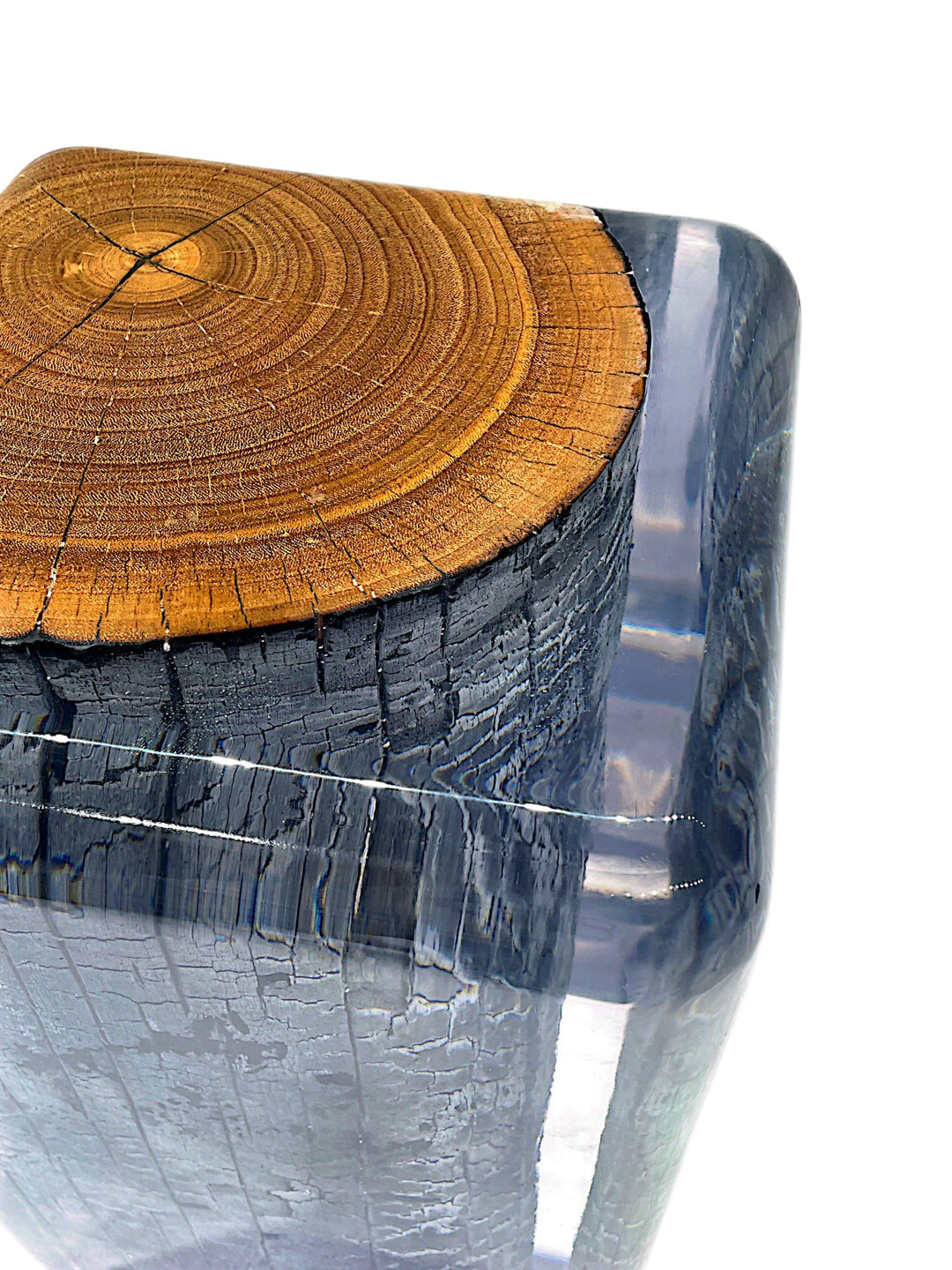 Eucalyptus Carbonized Stump Resin Stool/Side Table