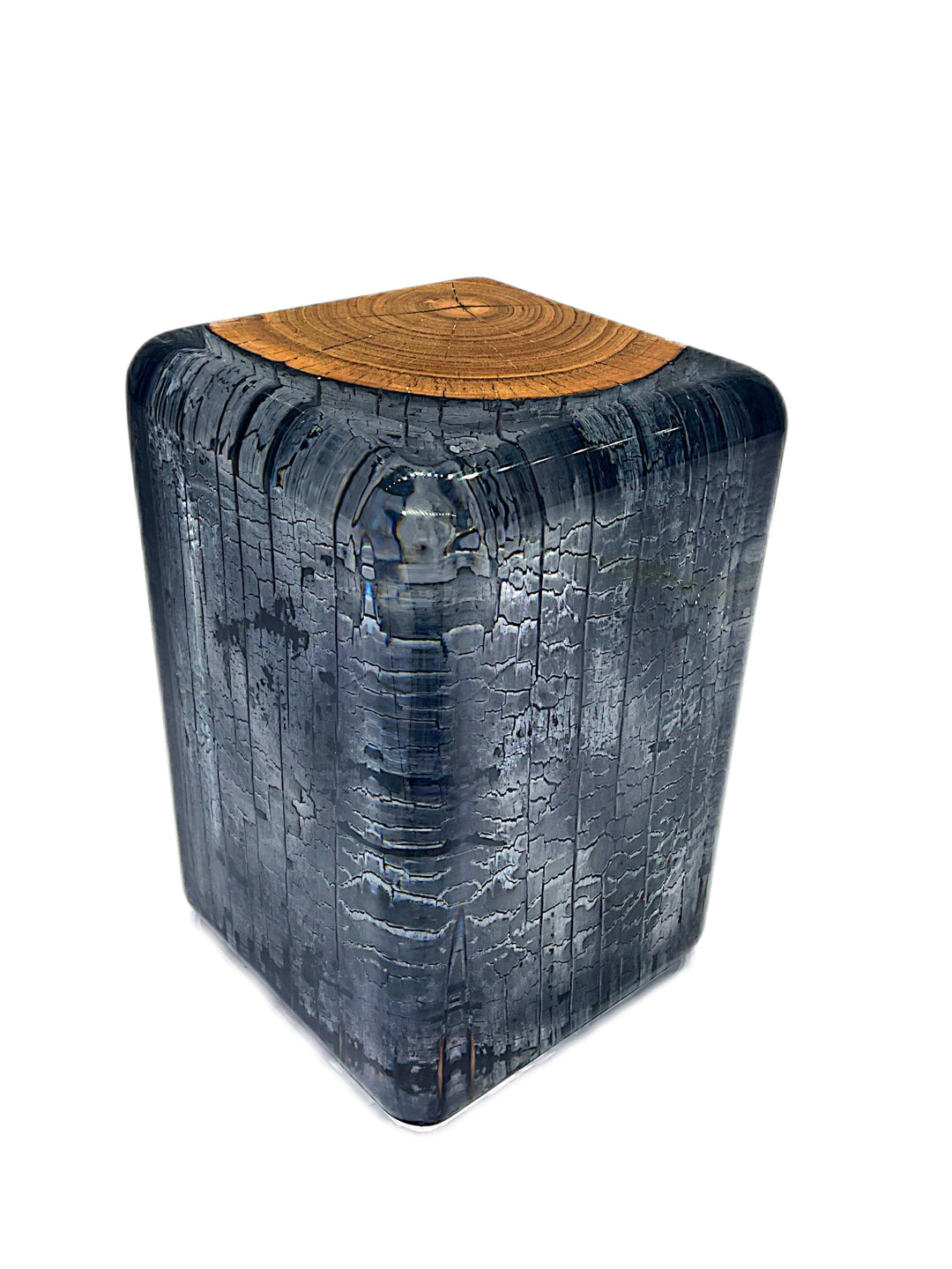 Eucalyptus Carbonized Stump Resin Stool/Side Table