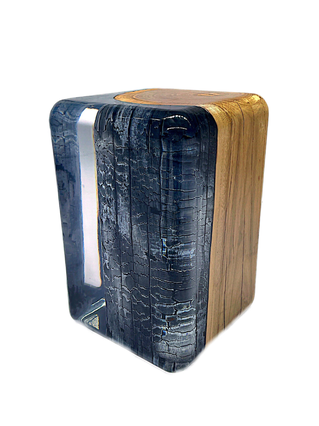 Eucalyptus Carbonized Stump Resin Stool/Side Table