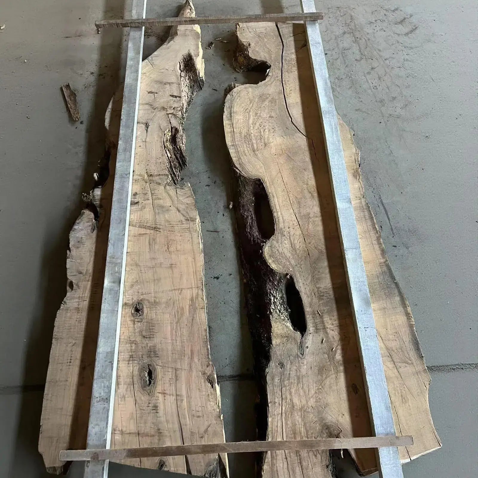 SeawaveTable olive wood slab selection for custom epoxy resin ocean table